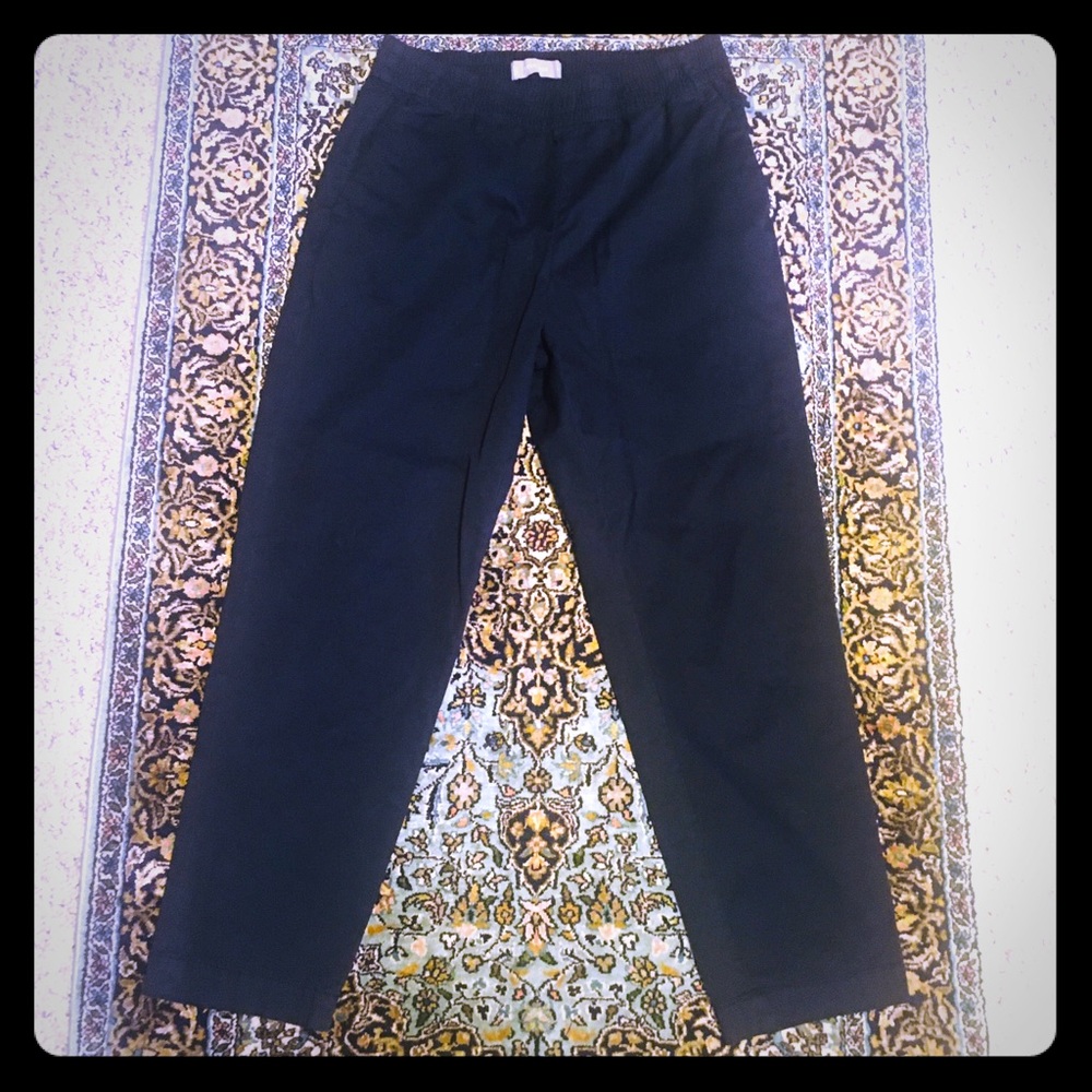 Everlane “The Easy Chino”
